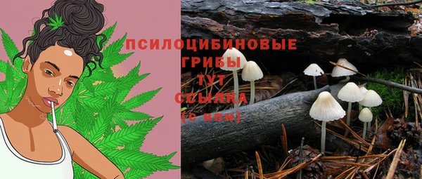эйфоретик Нефтекумск