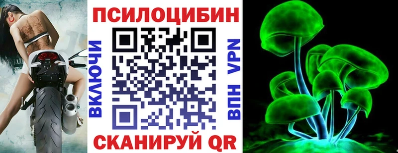как найти наркотики  Приволжск  Галлюциногенные грибы Psilocybine cubensis 