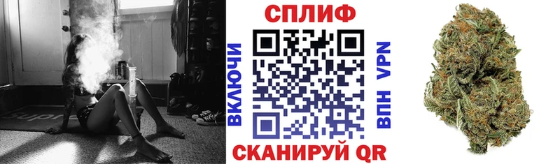 МАРИХУАНА SATIVA & INDICA  закладки  Приволжск 